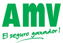 AMV - El seguro ganador!